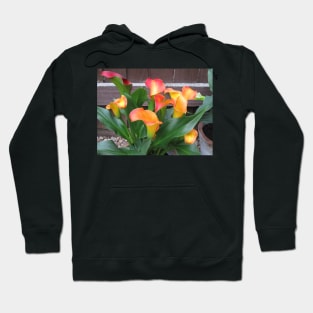 Yellow Calla Lilies Hoodie